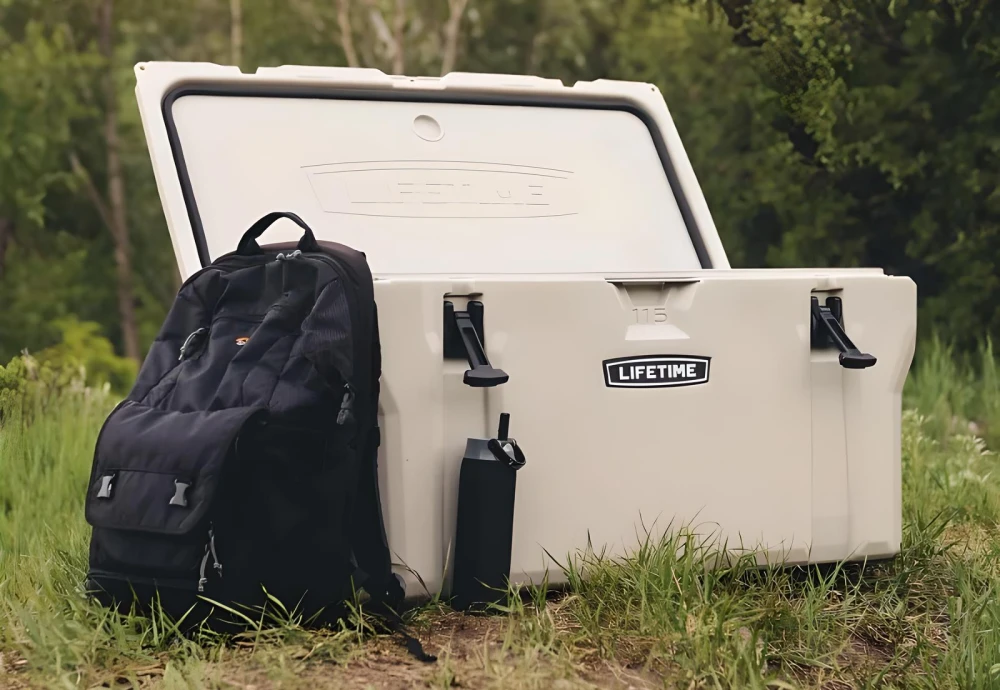 portable food cooler box